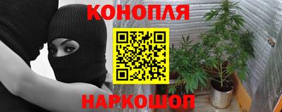 мяу мяу мука Апшеронск