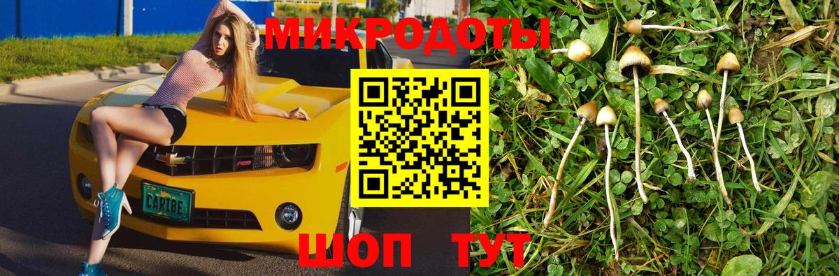 Бердск  Псилоцибиновые грибы GOLDEN TEACHER  Галлюциногенные грибы Magic Shrooms  Вход с VPN 